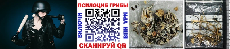 цена Ак-Довурак Галлюциногенные грибы ЛСД
